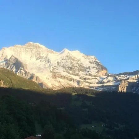 Apartment Protea 2 Bett Wengen